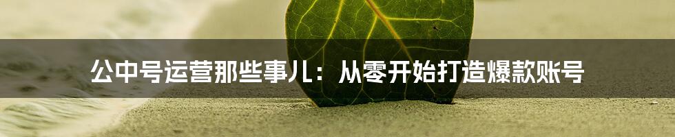 公中号运营那些事儿:从零开始打造爆款账号