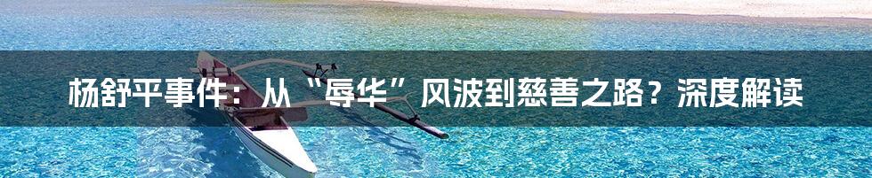 杨舒平事件:从“辱华”风波到慈善之路?深度解读