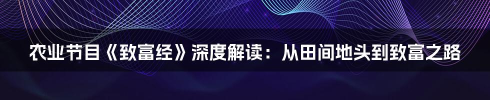 农业节目《致富经》深度解读:从田间地头到致富之路