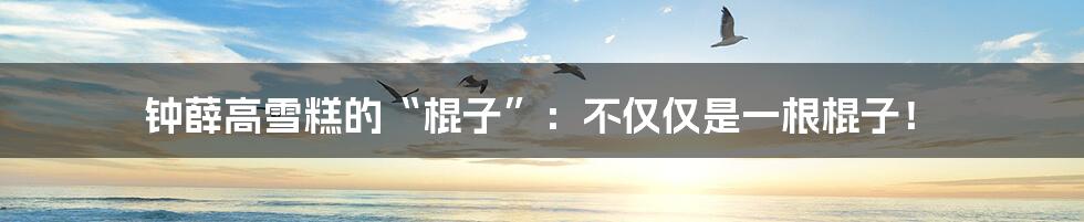 钟薛高雪糕的“棍子”:不仅仅是一根棍子!