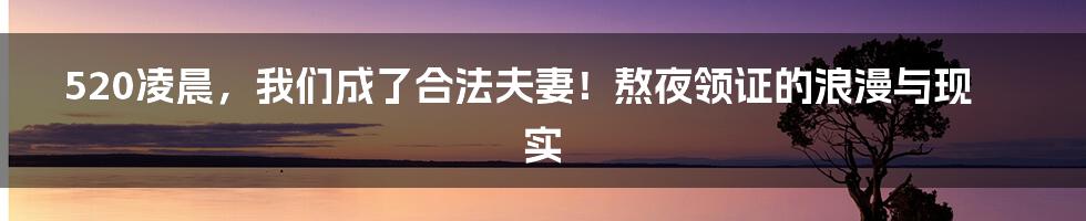 520凌晨,我们成了合法夫妻!熬夜领证的浪漫与现实