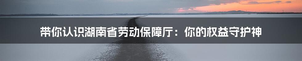 带你认识湖南省劳动保障厅:你的权益守护神