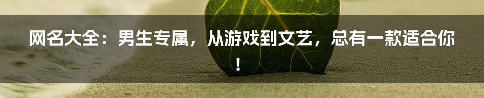 网名大全:男生专属,从游戏到文艺,总有一款适合你!
