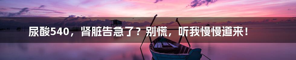 尿酸540,肾脏告急了?别慌,听我慢慢道来!