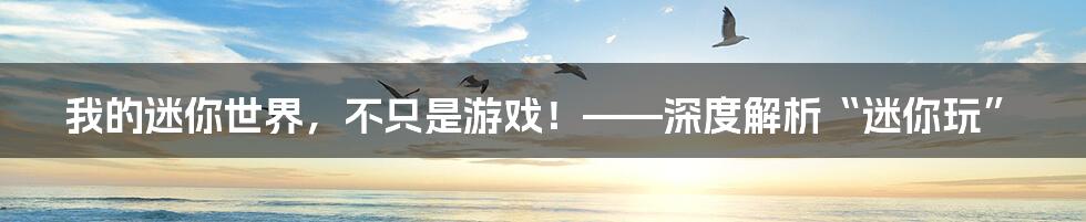 我的迷你世界,不只是游戏!——深度解析“迷你玩”