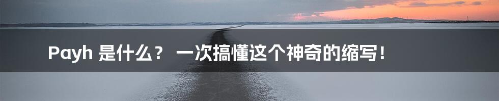 Payh 是什么? 一次搞懂这个神奇的缩写!
