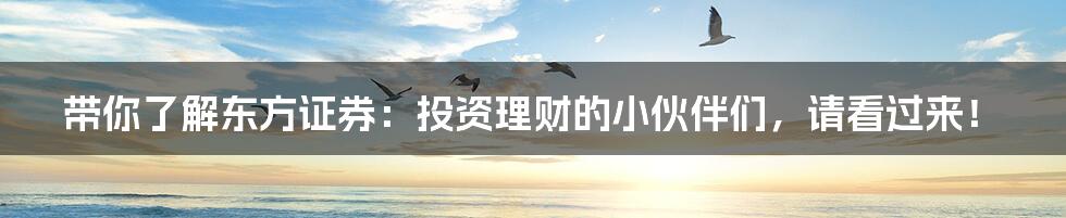 带你了解东方证券:投资理财的小伙伴们,请看过来!