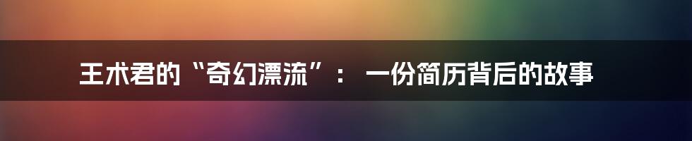 王术君的“奇幻漂流”: 一份简历背后的故事