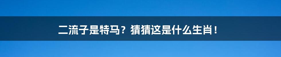 二流子是特马？猜猜这是什么生肖！