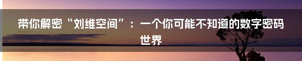带你解密“刘维空间”：一个你可能不知道的数字密码世界