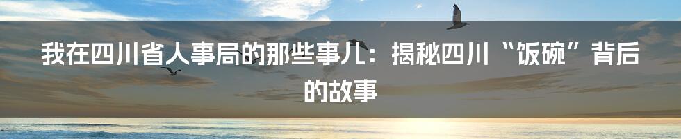 我在四川省人事局的那些事儿:揭秘四川“饭碗”背后的故事