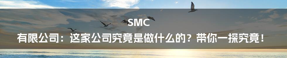 SMC 有限公司:这家公司究竟是做什么的?带你一探究竟!