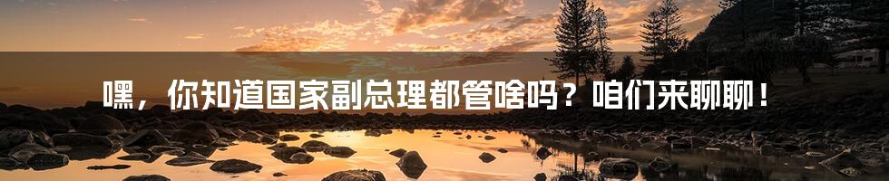 嘿,你知道国家副总理都管啥吗?咱们来聊聊!