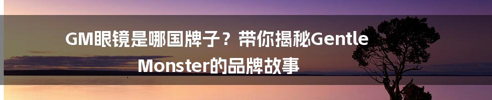 GM眼镜是哪国牌子？带你揭秘Gentle Monster的品牌故事