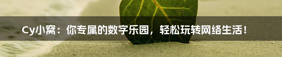 Cy小窝:你专属的数字乐园,轻松玩转网络生活!