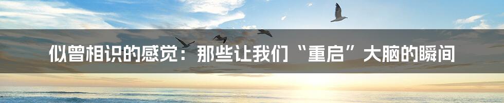 似曾相识的感觉:那些让我们“重启”大脑的瞬间