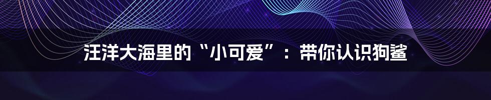 汪洋大海里的“小可爱”:带你认识狗鲨