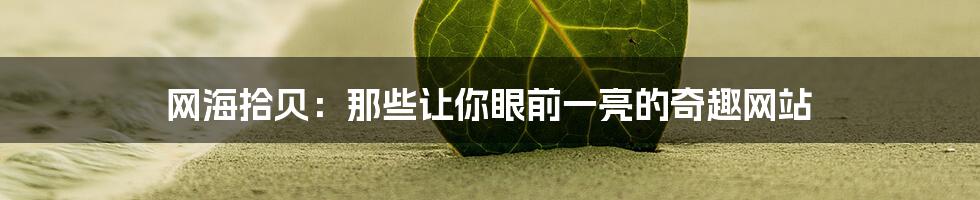 网海拾贝：那些让你眼前一亮的奇趣网站