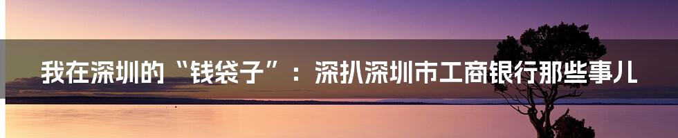 我在深圳的“钱袋子”:深扒深圳市工商银行那些事儿