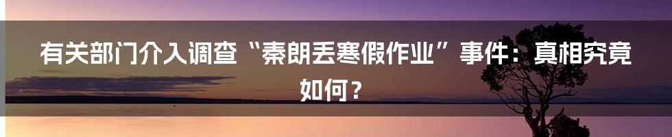 有关部门介入调查“秦朗丢寒假作业”事件:真相究竟如何?