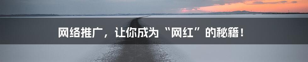 网络推广，让你成为“网红”的秘籍！