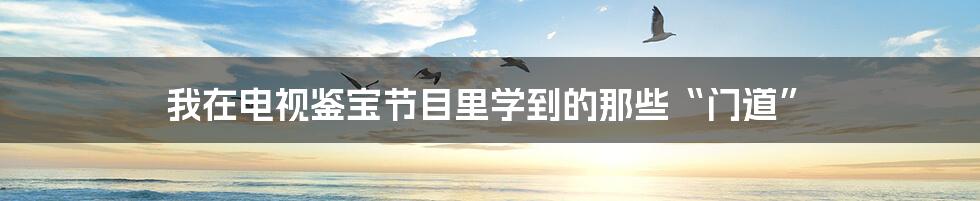 我在电视鉴宝节目里学到的那些“门道”