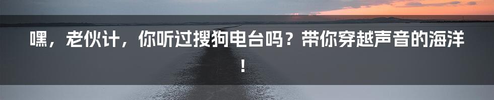 嘿,老伙计,你听过搜狗电台吗?带你穿越声音的海洋!