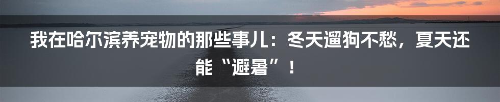 我在哈尔滨养宠物的那些事儿：冬天遛狗不愁，夏天还能“避暑”！