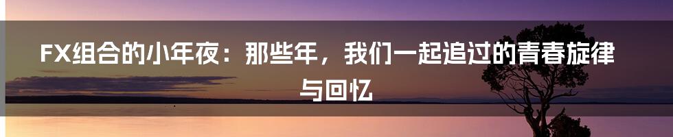 FX组合的小年夜:那些年,我们一起追过的青春旋律与回忆