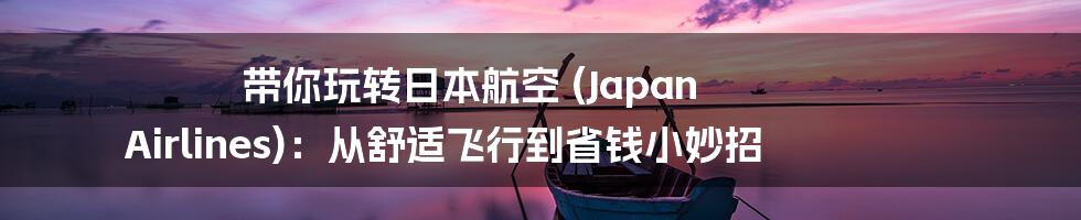 带你玩转日本航空 (Japan Airlines):从舒适飞行到省钱小妙招