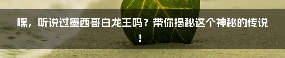 嘿，听说过墨西哥白龙王吗？带你揭秘这个神秘的传说！