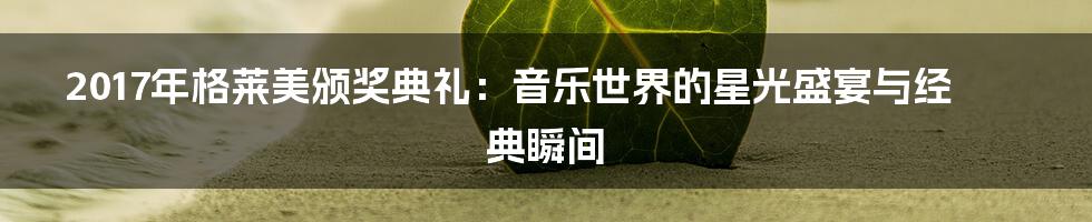 2017年格莱美颁奖典礼:音乐世界的星光盛宴与经典瞬间