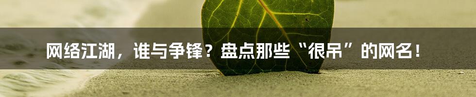网络江湖,谁与争锋?盘点那些“很吊”的网名!