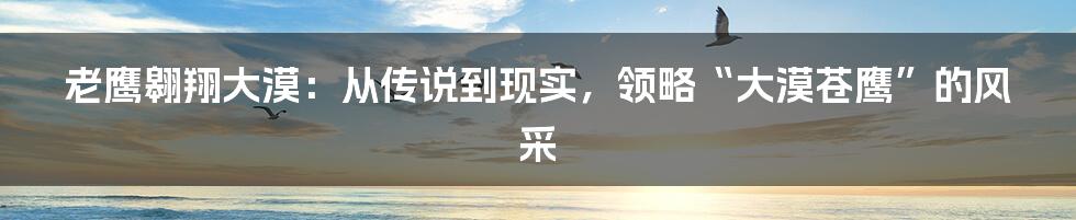 老鹰翱翔大漠：从传说到现实，领略“大漠苍鹰”的风采