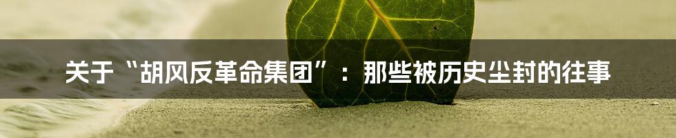 关于“胡风反革命集团”:那些被历史尘封的往事