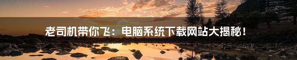 老司机带你飞:电脑系统下载网站大揭秘!