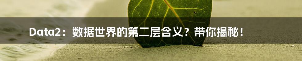 Data2:数据世界的第二层含义?带你揭秘!