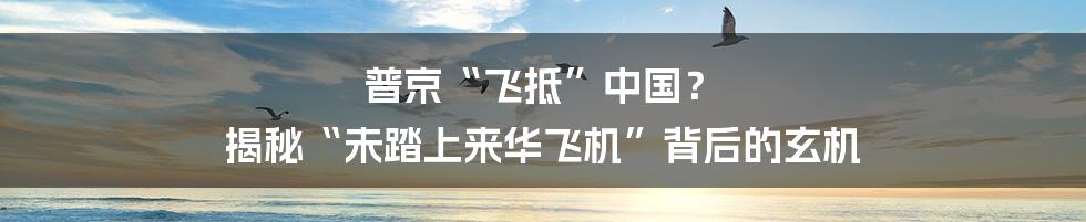 普京“飞抵”中国? 揭秘“未踏上来华飞机”背后的玄机