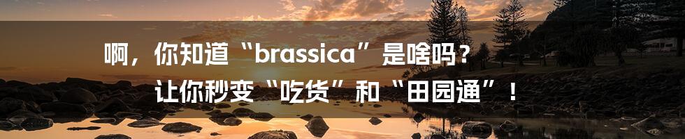 啊，你知道“brassica”是啥吗？ 让你秒变“吃货”和“田园通”！