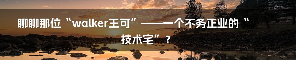 聊聊那位“walker王可”——一个不务正业的“技术宅”?