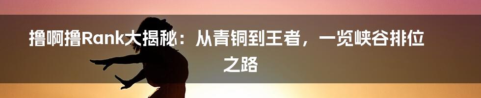 撸啊撸Rank大揭秘：从青铜到王者，一览峡谷排位之路