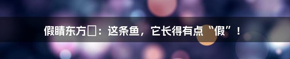 假睛东方鲀:这条鱼,它长得有点“假”!