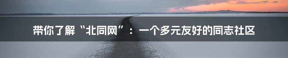 带你了解“北同网”:一个多元友好的同志社区