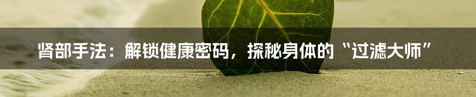 肾部手法：解锁健康密码，探秘身体的“过滤大师”