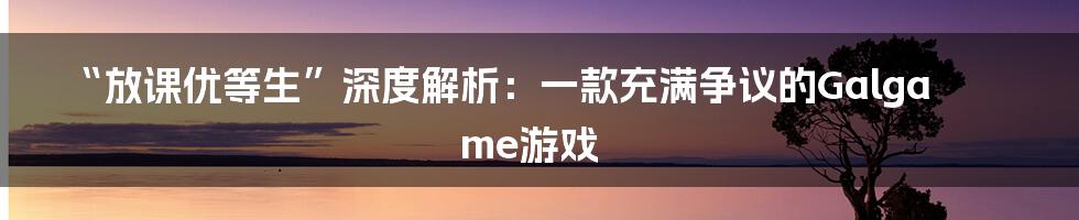 “放课优等生”深度解析:一款充满争议的Galgame游戏