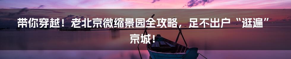 带你穿越!老北京微缩景园全攻略,足不出户“逛遍”京城!