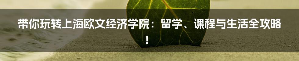 带你玩转上海欧文经济学院:留学、课程与生活全攻略!