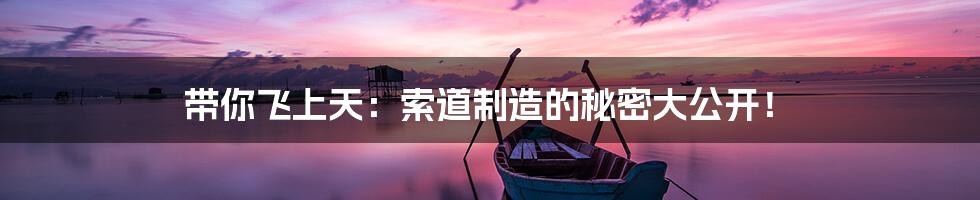 带你飞上天:索道制造的秘密大公开!