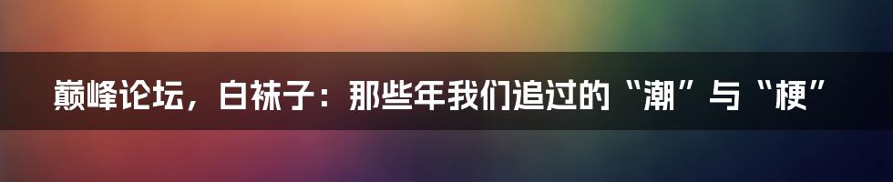 巅峰论坛,白袜子:那些年我们追过的“潮”与“梗”
