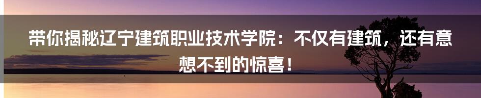 带你揭秘辽宁建筑职业技术学院:不仅有建筑,还有意想不到的惊喜!